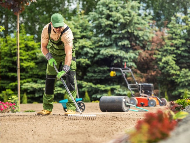 Wir kümmern uns um Ihren Garten, Park oder Ihre Außenanlagen © Shutterstock