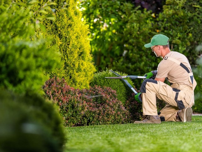 Wir kümmern uns um Ihren Garten, Park oder Ihre Außenanlagen © Shutterstock